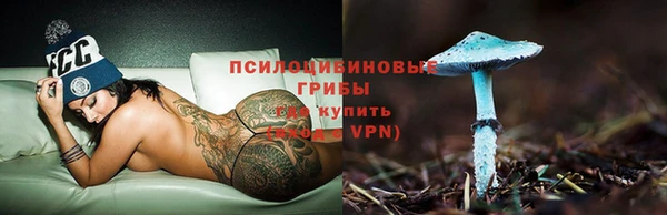 амф Нефтегорск