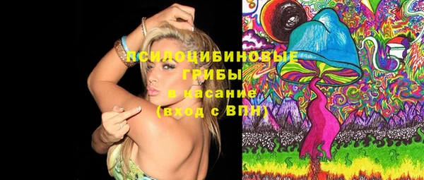 ПСИЛОЦИБИНОВЫЕ ГРИБЫ Бежецк