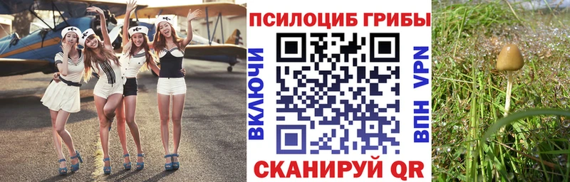 Псилоцибиновые грибы прущие грибы  купить   Тосно 