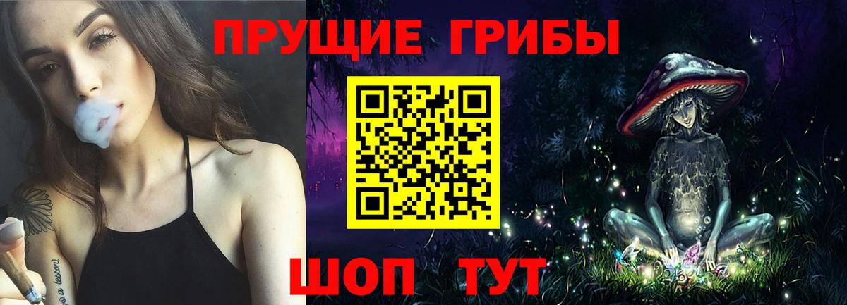 Галлюциногенные грибы Psilocybe Тосно