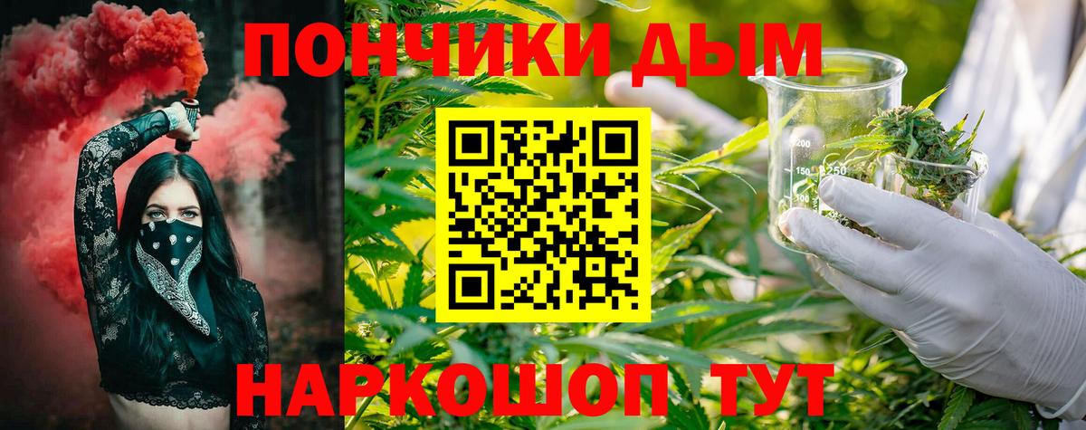 Марихуана Bruce Banner  Каннабис конопля  Тосно 